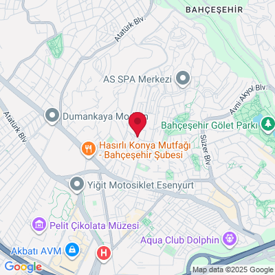 Google Maps static image